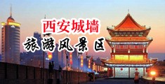 操干逼网站中国陕西-西安城墙旅游风景区