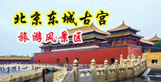 美女黄色网站大鸡鸡中国北京-东城古宫旅游风景区